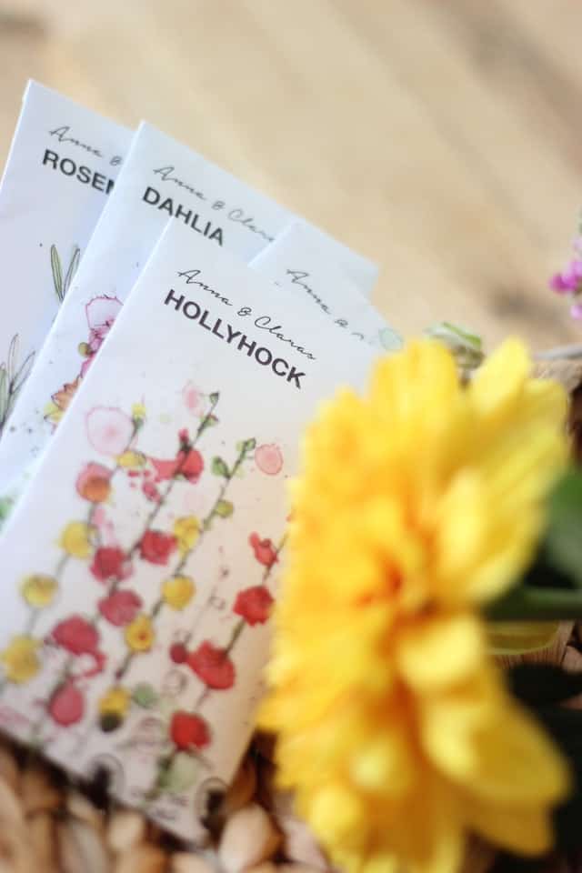 Image of 4 seed packets for winter sowing, rosemary, dahlia, and hollyhock. The 4th is not shown, There is a yellow marigold flower in the foreground