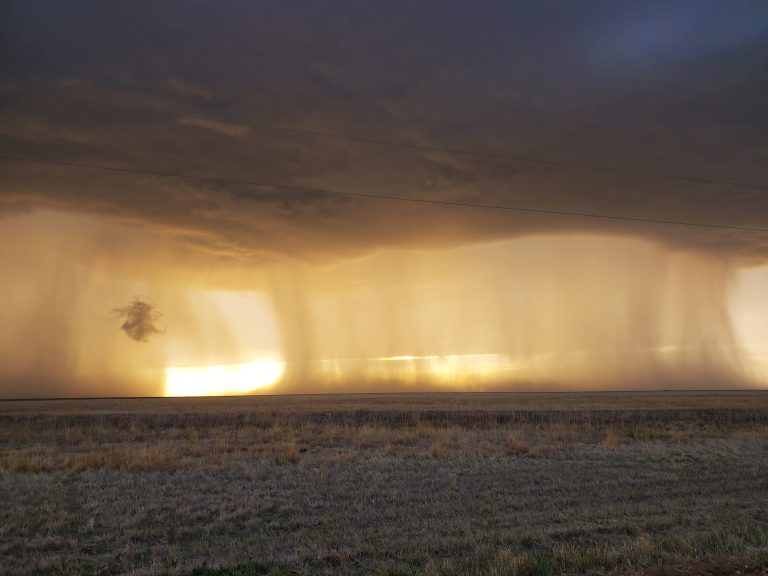 Rain falling over the prairie backlit by the setting sun