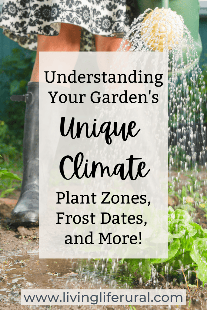 Understanding your garden's unique climate, plant zone, frost dates, and more