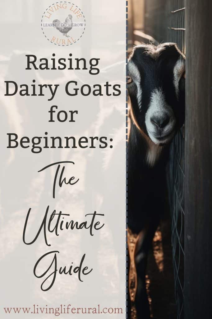 Raising Dairy Goats For Beginners: The Ultimate Guide - Living Life Rural