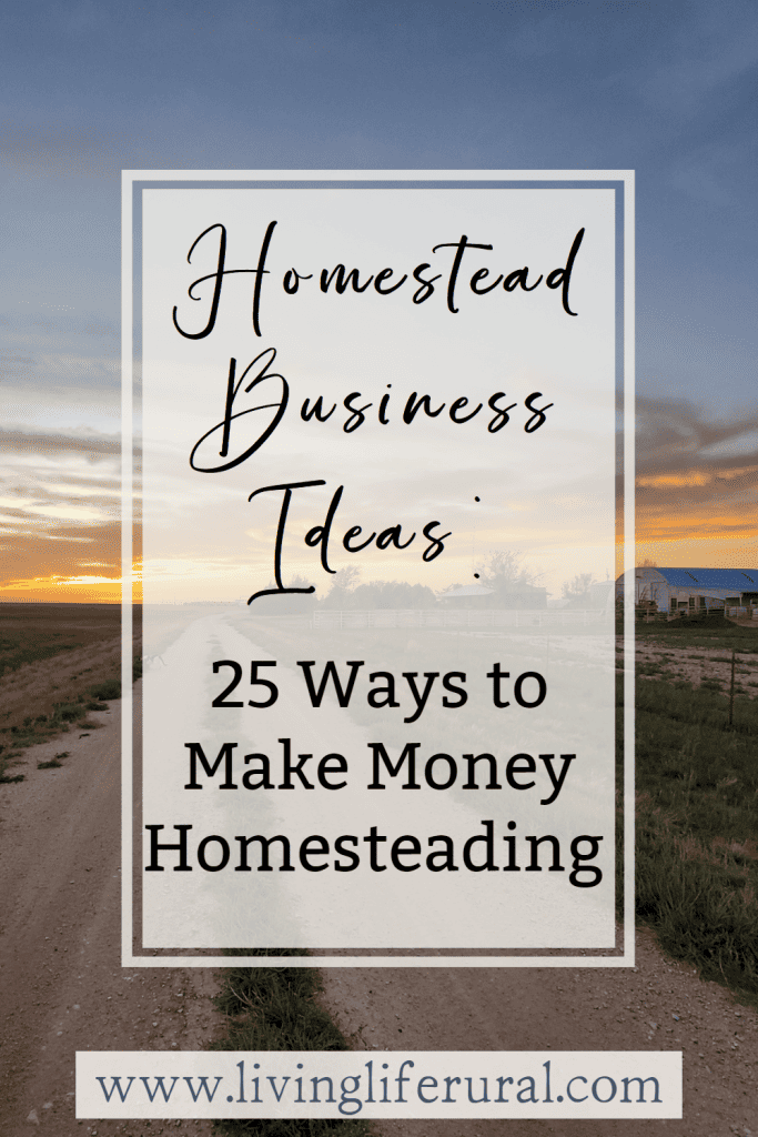 image of a homestead with the words: Homestead business ideas: 25 ways to make money homesteading