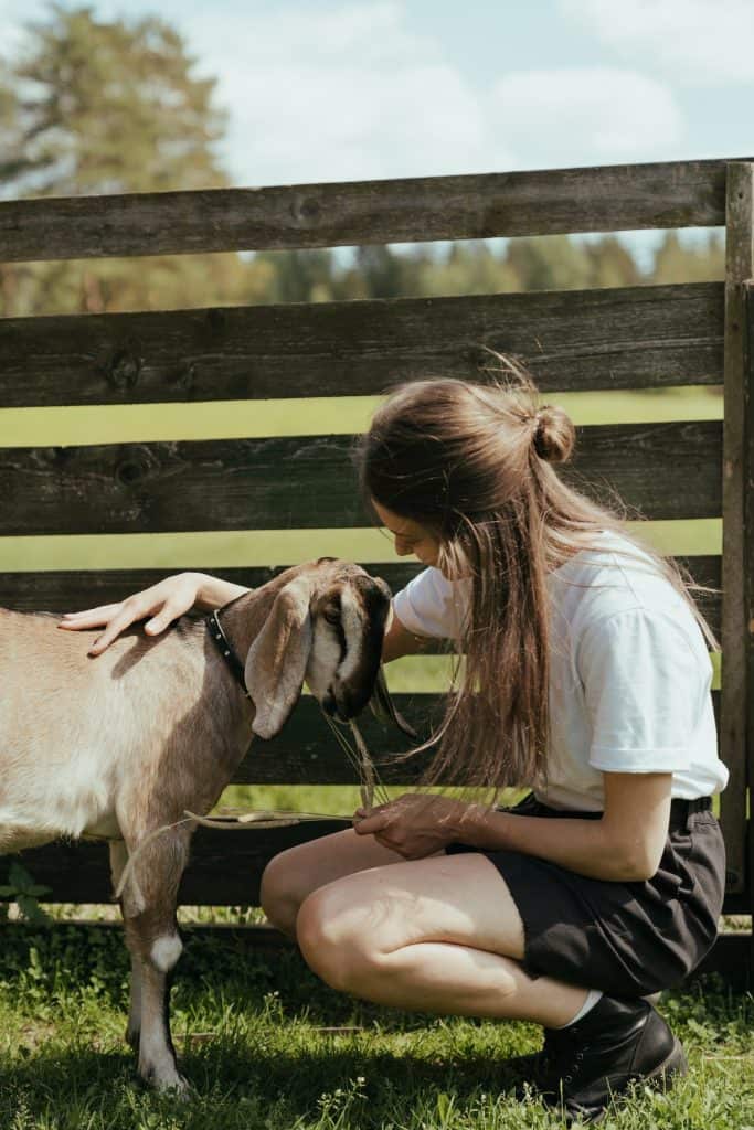 woman with long hair petting a Nubian goat. This is one thing I would do before buying your first goat