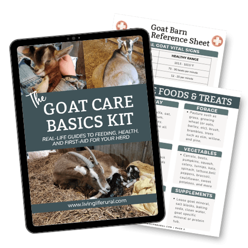 An iPad displays “The Goat Care Basics Kit” cover with photos of goats, next to printed sheets on barn care, vital signs, and safe foods—like can goats eat grapes or strawberries?—plus treats and feeding tips.